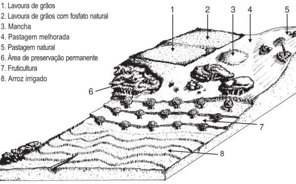Figura 3.2. Plano de amostragem de uma propriedade, com diferentes declividades e usos de solo.