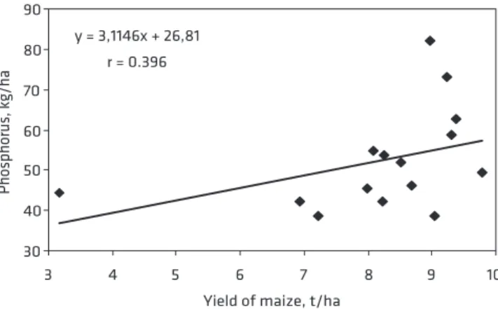 Figure 1. Correlation between phosphorus and yield of  maize after first year of investigation