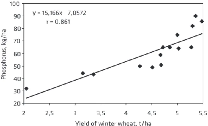 Figure 3. Correlation between phosphorus and yield of winter  wheat after four years of investigation