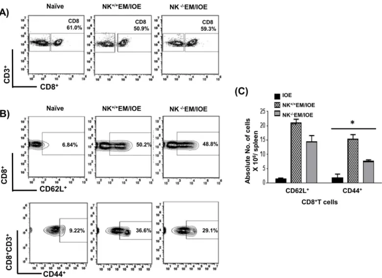 Fig 6. NK cell depletion in EM/IOE-infected mice impairs expansion of effector memory CD8 + T cells
