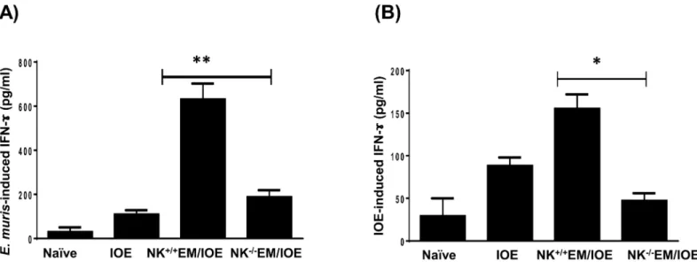 Fig 9. Depletion of NK cells in NK -/- EM/IOE mice decreased production of IFN-γ. The levels of IFN-γ in bulk culture of splenocytes from the indicated mice groups, harvested on day 7 after IOE infection, and stimulated in vitro with either E