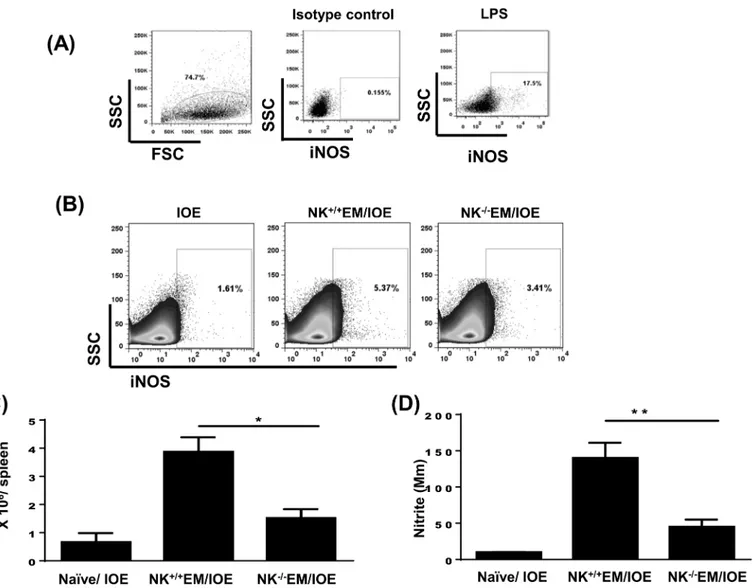 Fig 10. Depletion of NK cells in NK -/- EM/IOE mice decreased production of iNOS and NO
