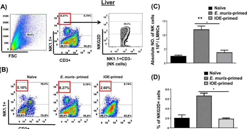 Fig 1. NK cells expand and persist in the liver of E. muris- but not IOE-primed mice. Liver mononuclear cells were isolated from indicated mice groups on day 21 post-infection, and the frequency and activation of NK cells were analyzed