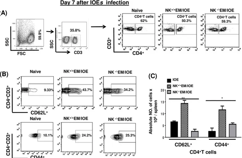Fig 5. NK cell depletion in EM/IOE-infected mice impairs expansion of effector memory CD4 + T cells