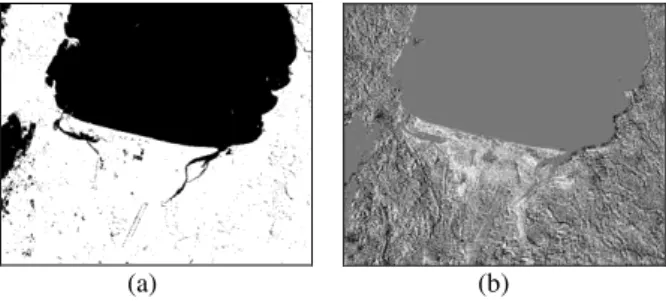 Figure 8. The absolute difference image of images before and  after the disaster 