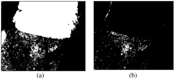Figure 11. The elevation mask processing: (a) Elevation mask  and (b) Image result after the elevation mask processing  The  ASTER  GDEM  was  used  to  create  the  elevation  mask