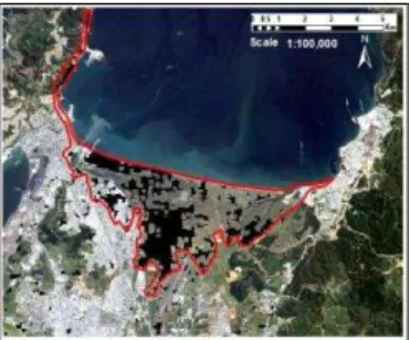 Figure 16. True-colour composite of optical images of  ALOS/AVNIR-2: (a) Image before the disaster (2007/2/24) and 