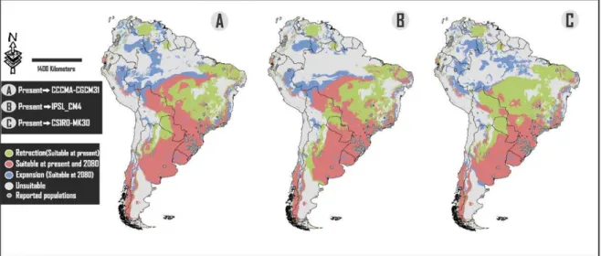 Figure 1. Comparison between results of projections at present and 2080. Each map shows potential suitable areas for Lithobates catesbeianus at one of the three different analyzed AOGCMs, classified in: Retraction (suitable areas at present but not at 2080