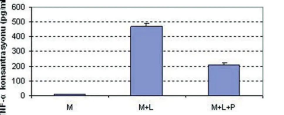 Şekil 4. Lippolisakkarit ve propolis’in U937 hücrelerinde TNF-α üretimine etkisi (M, sadece makrofaj içeren kuyucuk; 