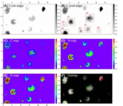 Figure 6. STXM images and elemental maps of representative particles in the coarse mode range with some smaller accumulation mode particles