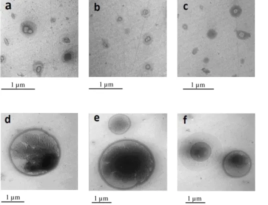 Figure 7. TEM micrographs of submicron (a–c) and supermicron (d–f) particles.