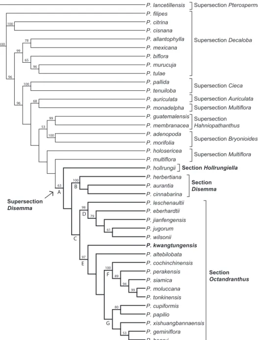 Figure 1. Strict consensus of two most parsimonious trees using ITS sequence data. Jackknife support  above 50% listed above branches.