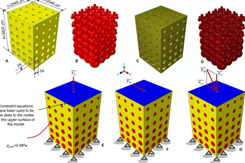 Fig 1. Parametric finite element model of the functionally graded scaffold utilized in the study