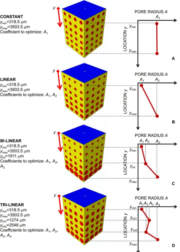 Fig 2. Porosity distribution laws analyzed in the study. (A) constant; (B) linear; (C) bi-linear; (D) tri-linear