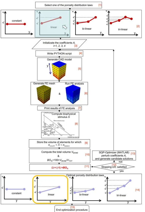 Fig 3. Schematic of the algorithm implemented in Matlab environment to optimize the porosity distribution law in functionally graded scaffolds.