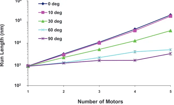Figure 18. Semi-logarithmic plot of the run length for a 250 nm cargo vs. the total number of motors for different cluster angles at the viscosity of water
