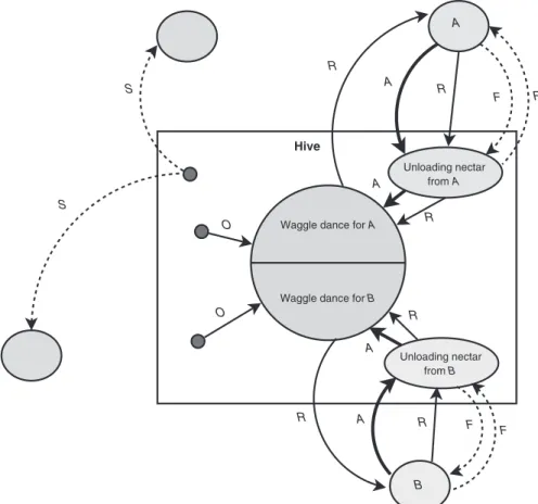 FIGURE 3.39 Bee colony behavior for food source (nectar) discovering. We assume two discovered food sources A and B [445]