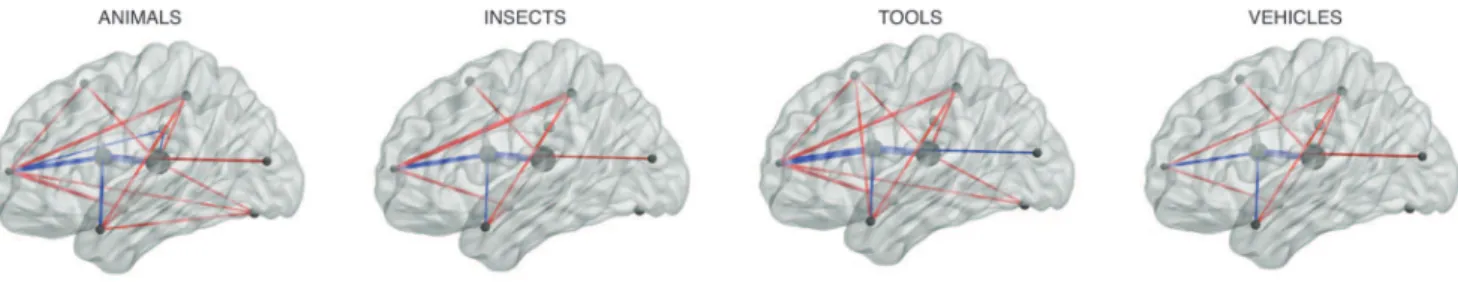 Figure 7. Brain networks underlying category representations. Each panel reflects the inferred brain network from one participant’s data as they viewed words from the indicated category