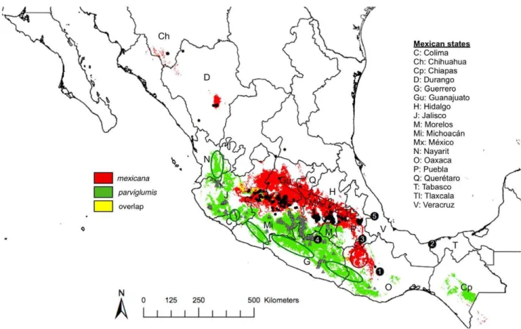Table 1. Geographic area, percent current overlap and elevation shifts deduced from the present, last glacial maximum (LGM;