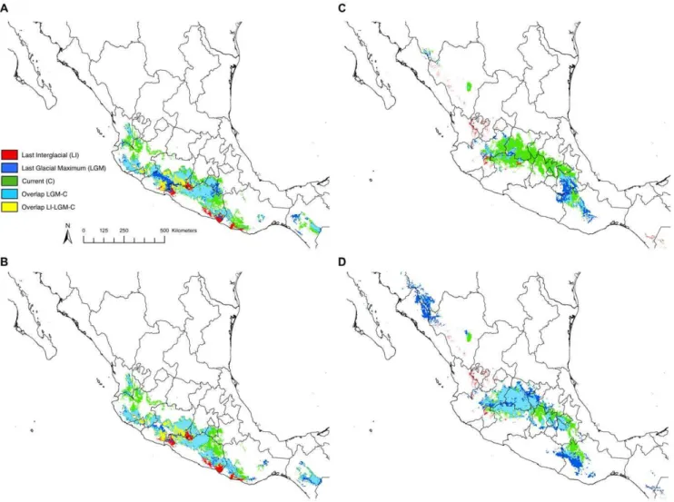 Figure 2. Overlapping models of the changing distributions of the teosintes. The distributions of parviglumis (A, CCSM3 and B, MIROC3.2) and mexicana (C, CCSM3 and D, MIROC3.2) during the Last Interglacial, Last Glacial Maximum, and currently.