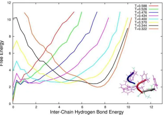 Figure 2. Free Energy landscape as a function of inter chain hydrogen bond energy for a system of 6 peptides for temperatures ranging from T = 0.588 to T = 0.322