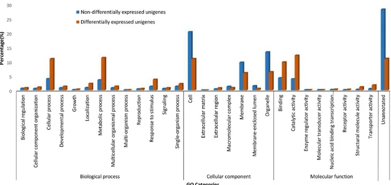 Fig 2. Gene Ontology (GO) assignments. GO assignment for the transcripts (unigene) differentially-expressed and non-differentially-expressed in the salt- salt-stressed banana roots.