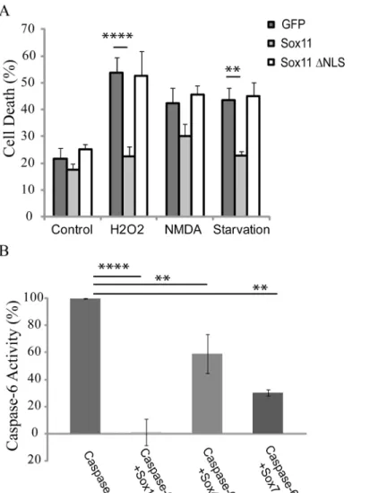 Fig 7. Sox11 is protective against apoptotic insult and other sox proteins can also reduce caspase-6 activity