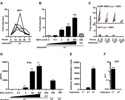 Fig 4. In vivo activity of AAV8-3xIRF-ISRE-Luc in mice in response to intravenous NDV-F3AA-GFP LaSota administration