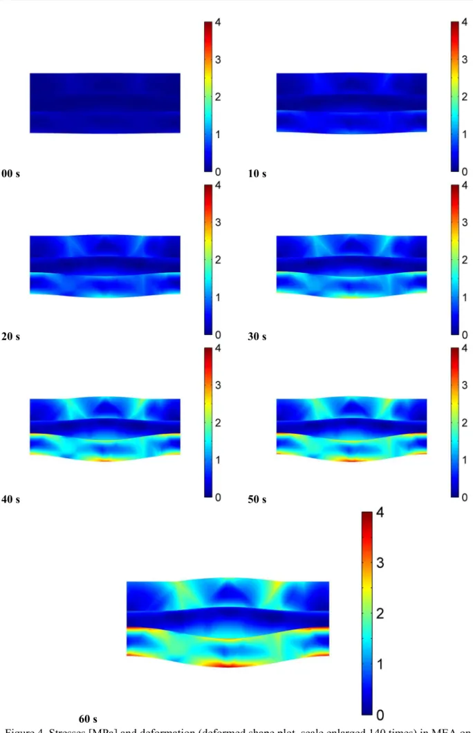 Figure 4. Stresses [MPa] and deformation (deformed shape plot, scale enlarged 140 times) in MEA on  the y-z plane at x=10 mm during cold-start of the cell from subzero temperature 