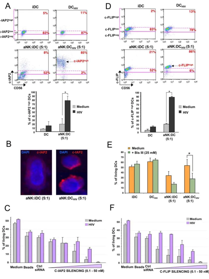 Figure 5. Resistance of HIV-infected iDCs to NK killing is associated with increased expression of c-IAP2 and c-FLIP