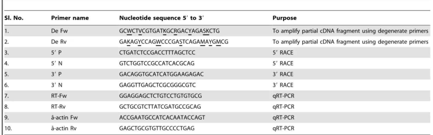 Table 1. List of primers used for cloning and expression analysis of catfish brain FTZ-F1.