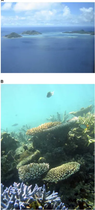 Figure 2. Diverse Coral Reef Systems Serve As Ideal Experiments for  Niche and Neutral Theories