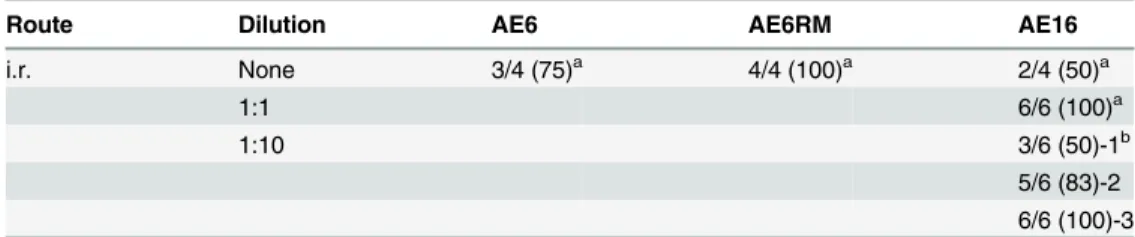 Table 5. Summary of in vivo infectivity of SHIVs -AE6, -AE6RM, and -AE16 stocks in rhesus monkeys.