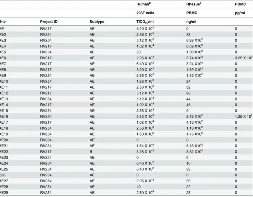 Table 2. Cloning and replication of 293T-derived SHIVs in human and rhesus PBMC a .