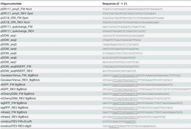 Table 3. The oligonucleotides used in this study.