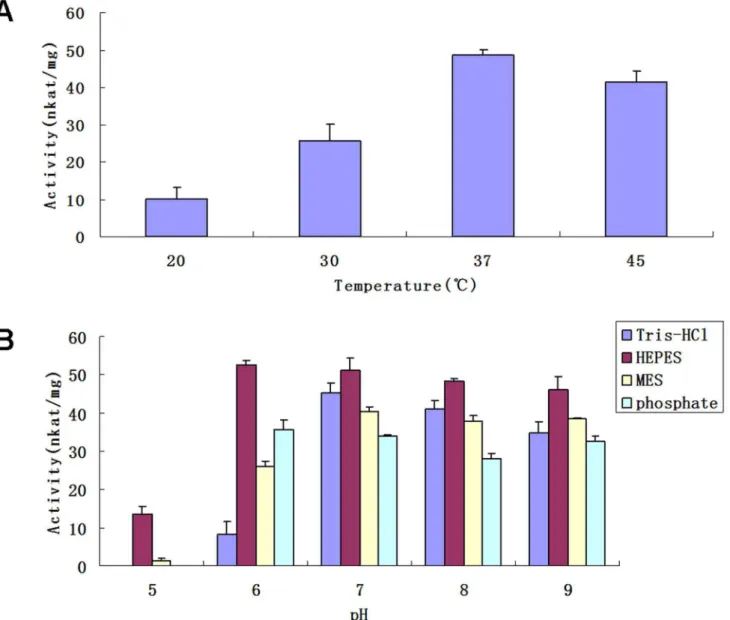 Figure 5. Analyses on factors affecting the activity of recombinant UGT74D1. (A) The effects of temperature