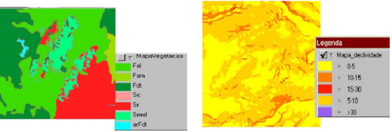 Figura 2.12. Exemplos de medida nominal (mapa de vegetação) e medida ordinal (mapa de classes de declividade).