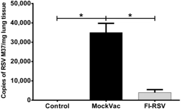 Figure 3. RSV RNA M37 levels in mock-vaccinated (MockVac), FI-RSV-vaccinated, and Control lambs as assessed by RT-qPCR.