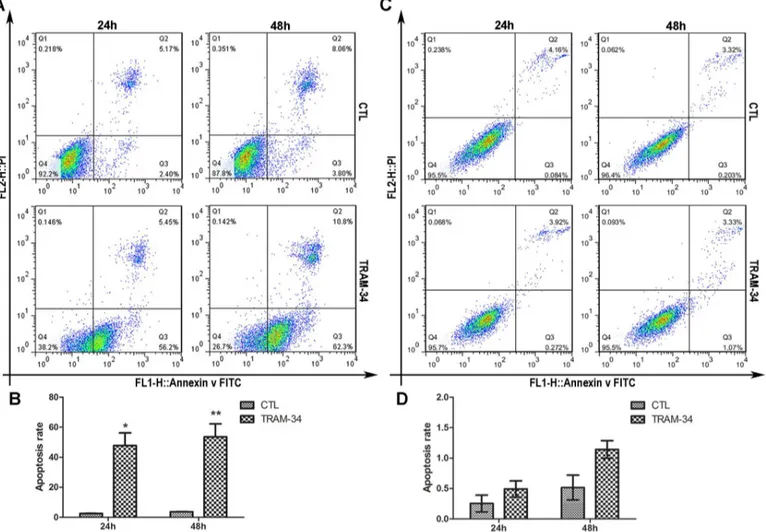 Fig 4. Blockage of SK4 channels promotes apoptosis in MDA-MB-231 cells but not T47D cells