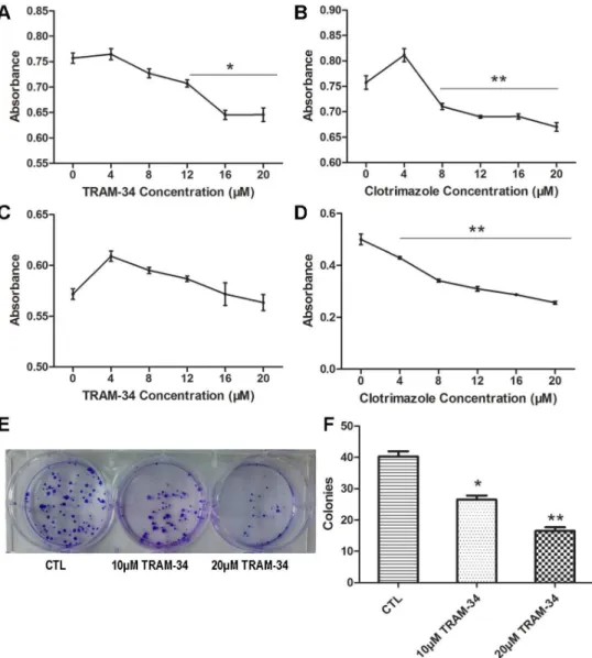 Fig 3. Blockage of SK4 channels inhibits MDA-MB-231 cell proliferation and colony formation ability, but not that of T47D cells