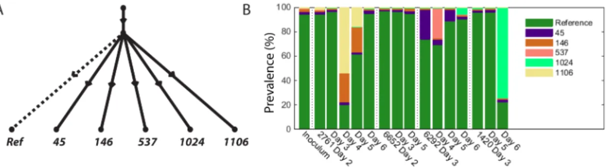 Fig 5. (A) Evolution tree arising from five mutations on segment 6. (B) Prevalences of the clones across the times series.