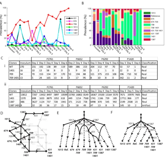 Fig 7. (A) Mutation prevalences of six mutations in segment 4. (B) Prevalences of the ten associated clones