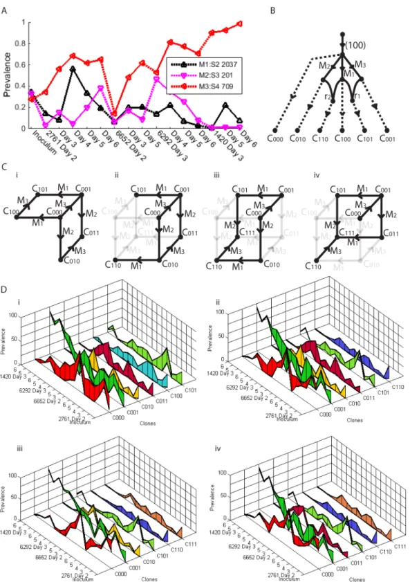 Fig 8. Three mutations between three segments that indicate two re-assortment events. (A) Mutation prevalences across time series