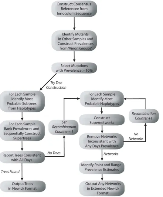 Fig 1. A flow chart describing the tree and network construction process.