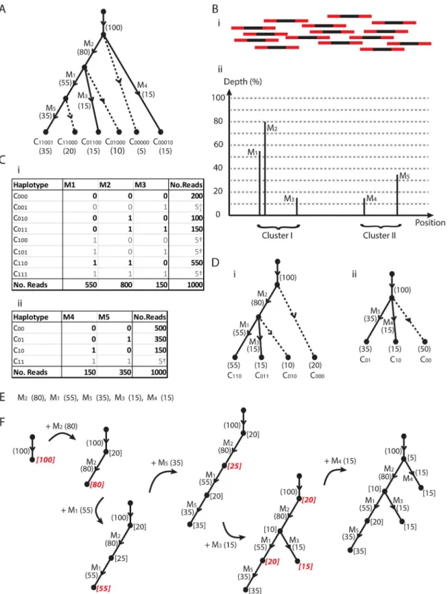 Fig 2. A super-tree sample. (A) A contrived evolution of a mixed viral population involving five mutations and six clones