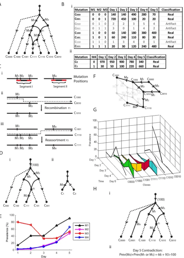 Fig 3. A super-network sample. (A) A pedagogic evolution recombination network with four mutations and two recombination events across two segments.