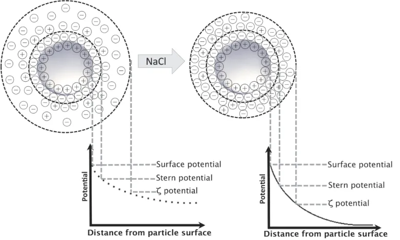 Fig 5. Schematic representation of electrolyte influence on electrical double layer and resultant zeta potential.