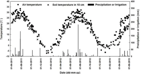 Fig. 1. Air temperature, soil temperature at 10 cm depth, and precipitation or irrigation in the winter wheat–summer maize double-cropping system from June 2011 to June 2013.