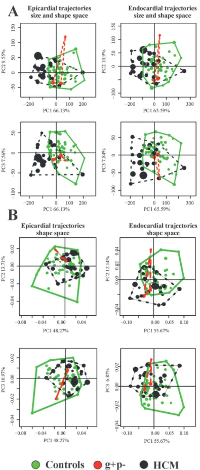 Fig 4. PCA analyses performed on the shape of the trajectories themselves. PC1-PC2 and PC1-PC3 scatterplots are shown