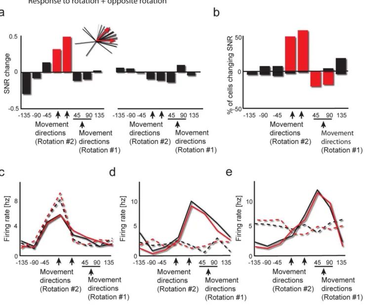 Figure 6. The lack of simultaneous representation after learning rotation followed by opposing rotation